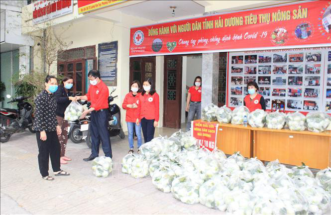 Người dân Ninh Bình tiêu thụ nông dân cho nông dân Hải Dương - Ảnh 1.