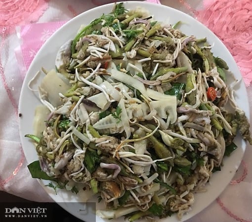Ăn cả 1 mùa hoa ban trắng muốt - Ảnh 5.