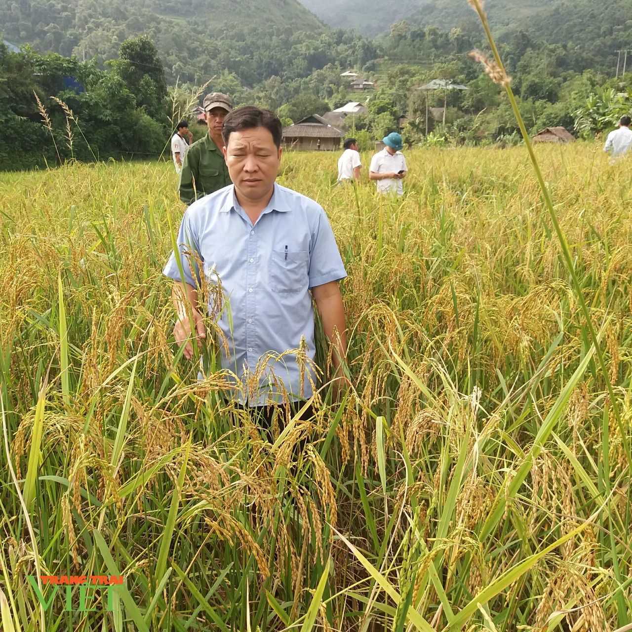 Nhiều mô hình khuyến nông đạt hiệu quả cao ở Tân Uyên - Ảnh 1.