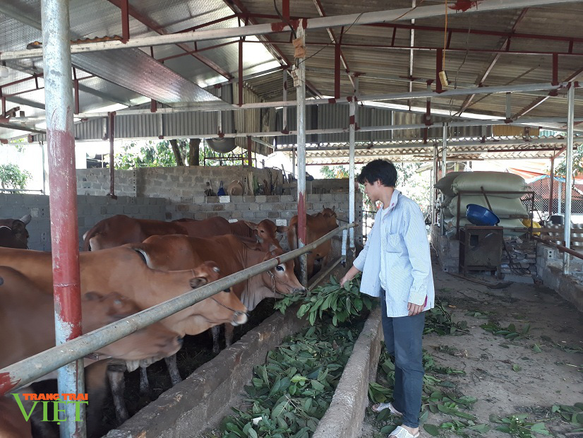 Tân Uyên đổi thay nhờ chương trình xây dựng nông thôn mới - Ảnh 3. Tân Uyên đổi thay nhờ chương trình xây dựng nông thôn mới - Ảnh 3.