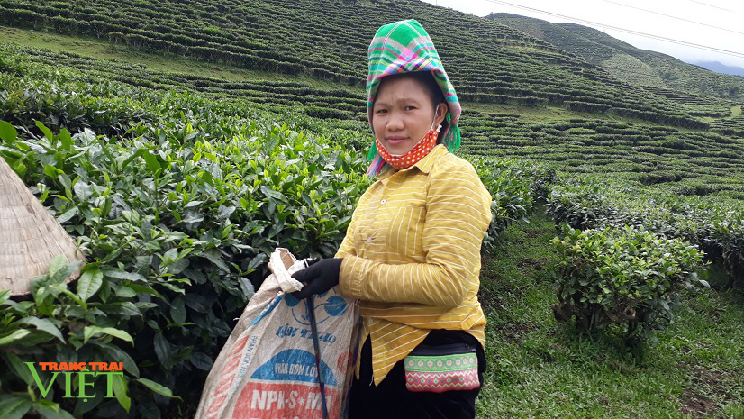 Tân Uyên đổi thay nhờ chương trình xây dựng nông thôn mới - Ảnh 1. Tân Uyên đổi thay nhờ chương trình xây dựng nông thôn mới - Ảnh 1.