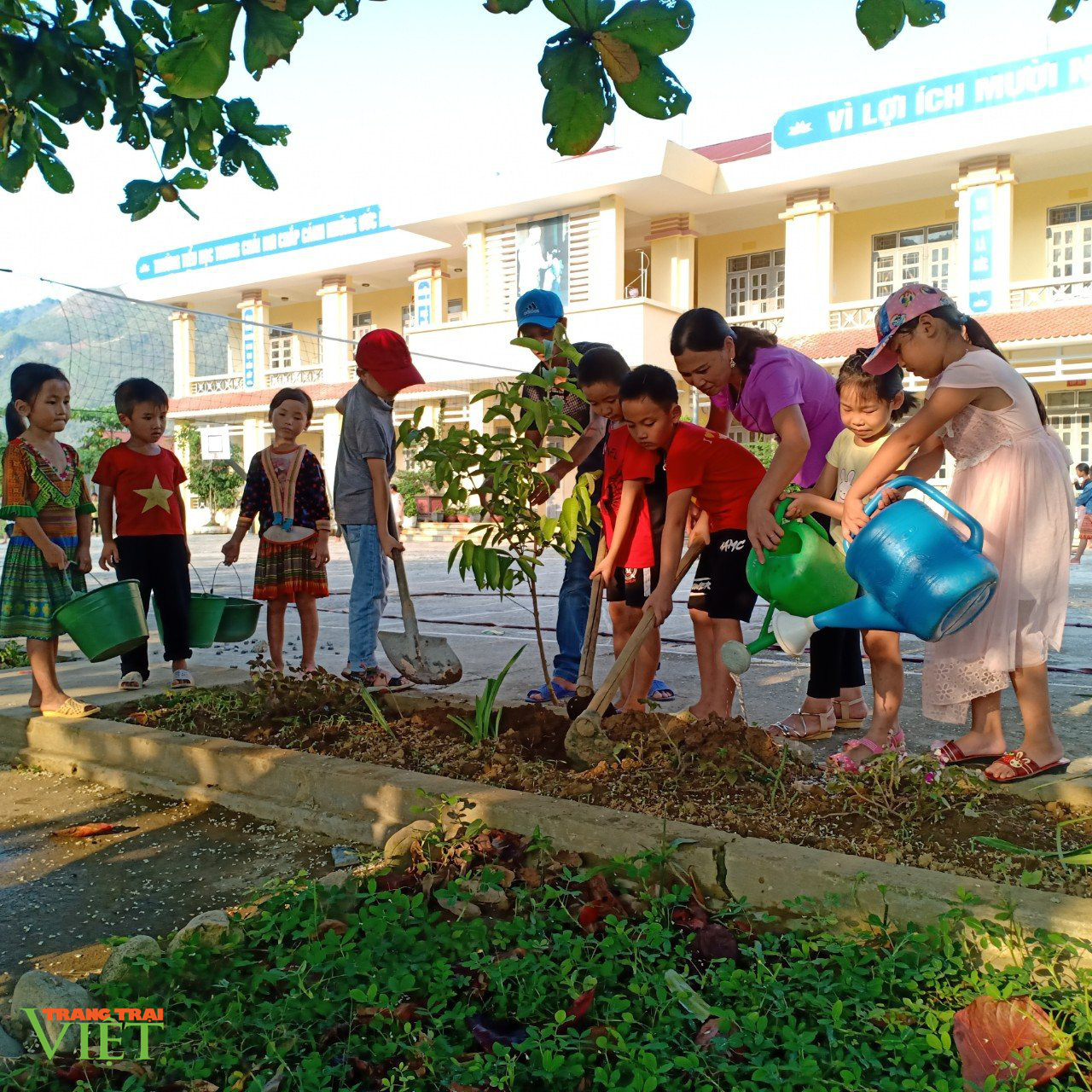 Vượt khó ươm mầm non tương lai - Ảnh 3. Vượt khó ươm mầm non tương lai - Ảnh 3.