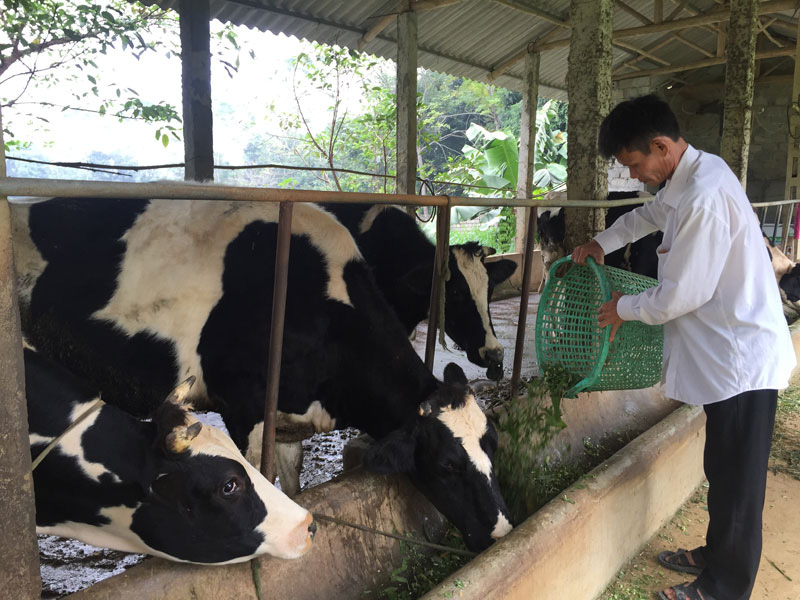 Hỗ trợ vốn và kiến thức giúp hội viên thoát nghèo - Ảnh 1.
