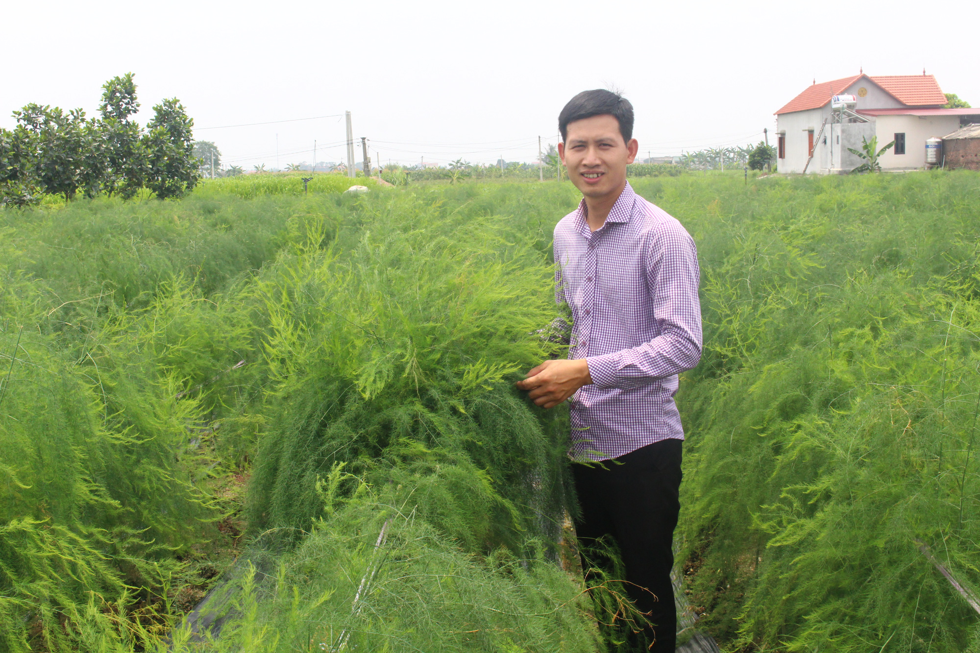 Sản xuất đa canh, chàng nông dân trẻ giàu nhanh - Ảnh 1. Sản xuất đa canh, chàng nông dân trẻ giàu nhanh - Ảnh 1.