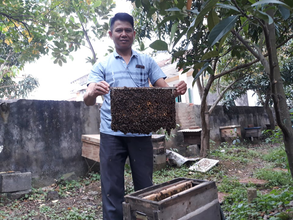 Hải Phòng : Nuôi con vo ve “làm chơi ăn thật”, cho tiền bội thu - Ảnh 1.