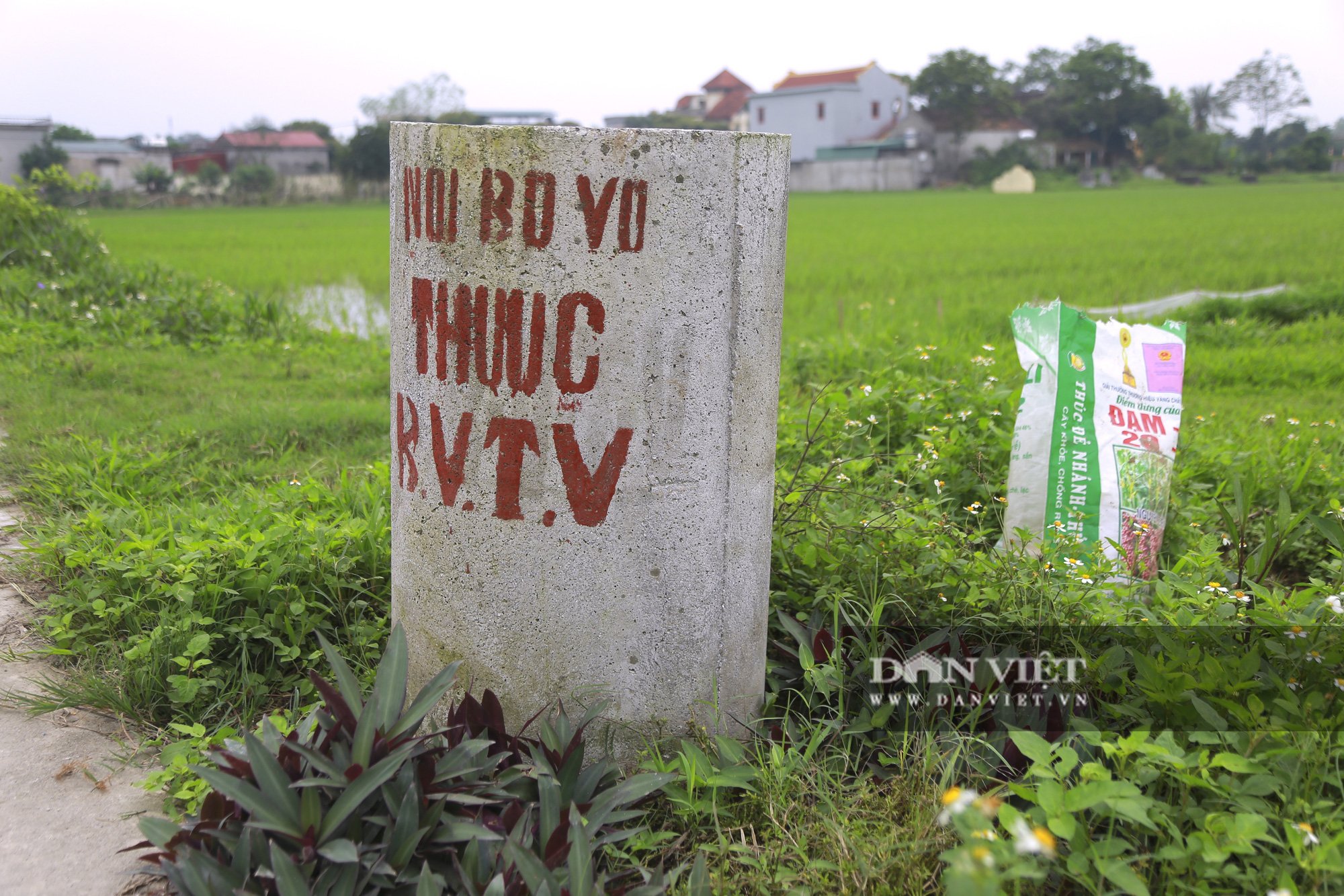 Hà Nam: Chính quyền nơi đây làm gì mà từng nhà, từng người dân phân loại rác cụ thể, bỏ đúng chỗ quy định - Ảnh 13.