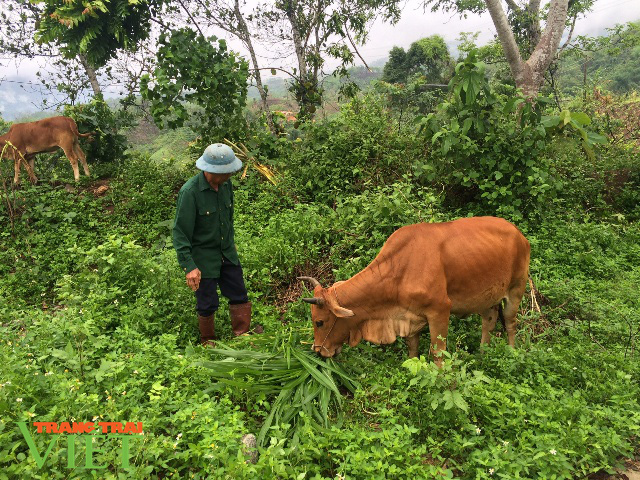 Lai Châu: Nỗ lực kéo giảm tỷ lệ hộ nghèo ở một xã vùng cao - Ảnh 2. Lai Châu: Nỗ lực kéo giảm tỷ lệ hộ nghèo ở một xã vùng cao - Ảnh 2.