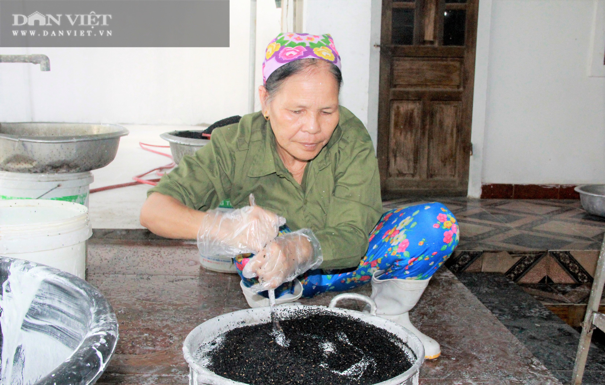 Hà Tĩnh: Thứ bánh gì mà có nhiều vừng đen, ăn giòn rụm giúp nông dân có của ăn của để - Ảnh 6.