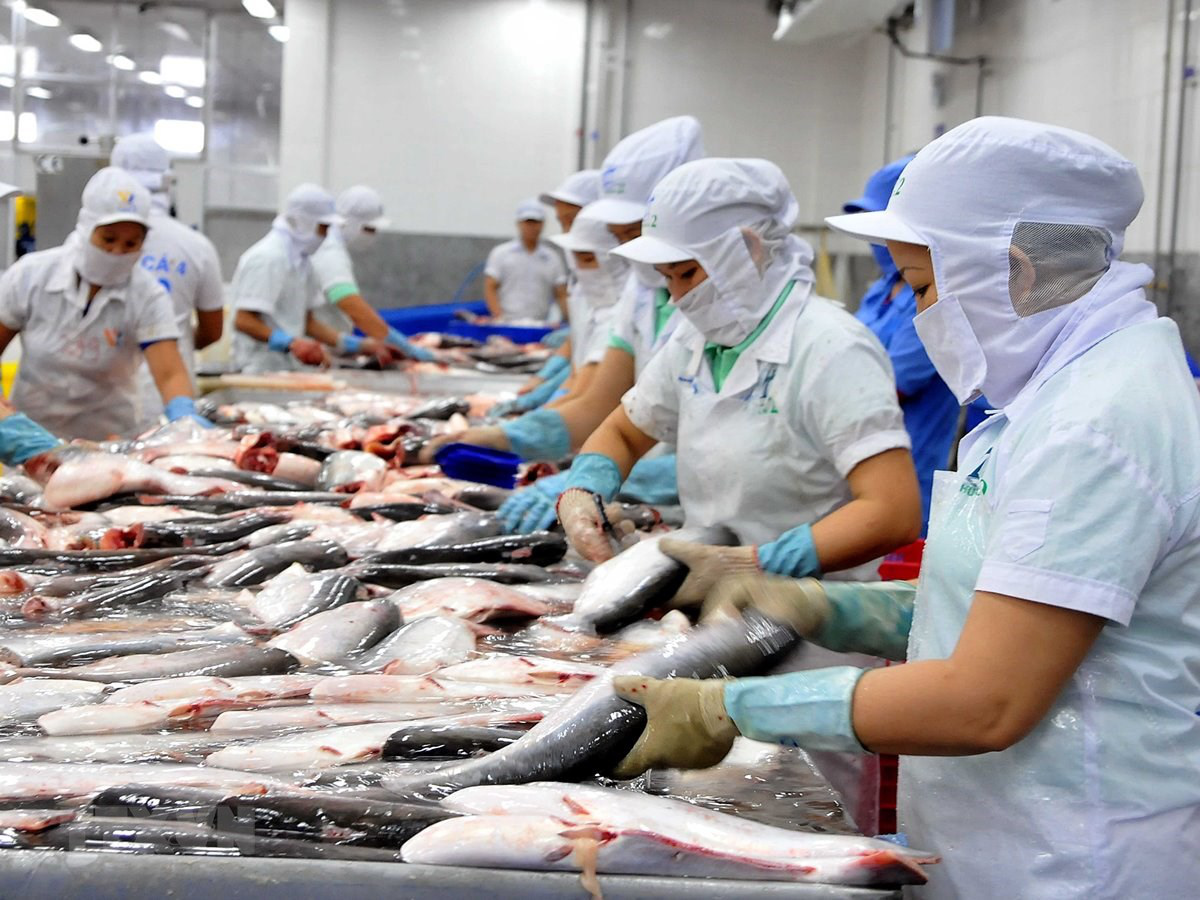 Thủy sản vượt rào, tăng tốc xuất khẩu vào Mỹ, EU - Ảnh 1.