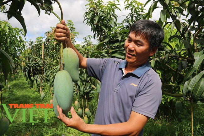 Hội Nông dân Mai Sơn: Phát huy tinh thần lá lành đùm lá rách - Ảnh 1.