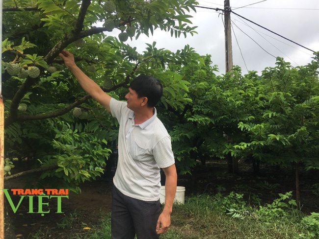 Hội Nông dân Mai Sơn: Phát huy tinh thần lá lành đùm lá rách - Ảnh 5.