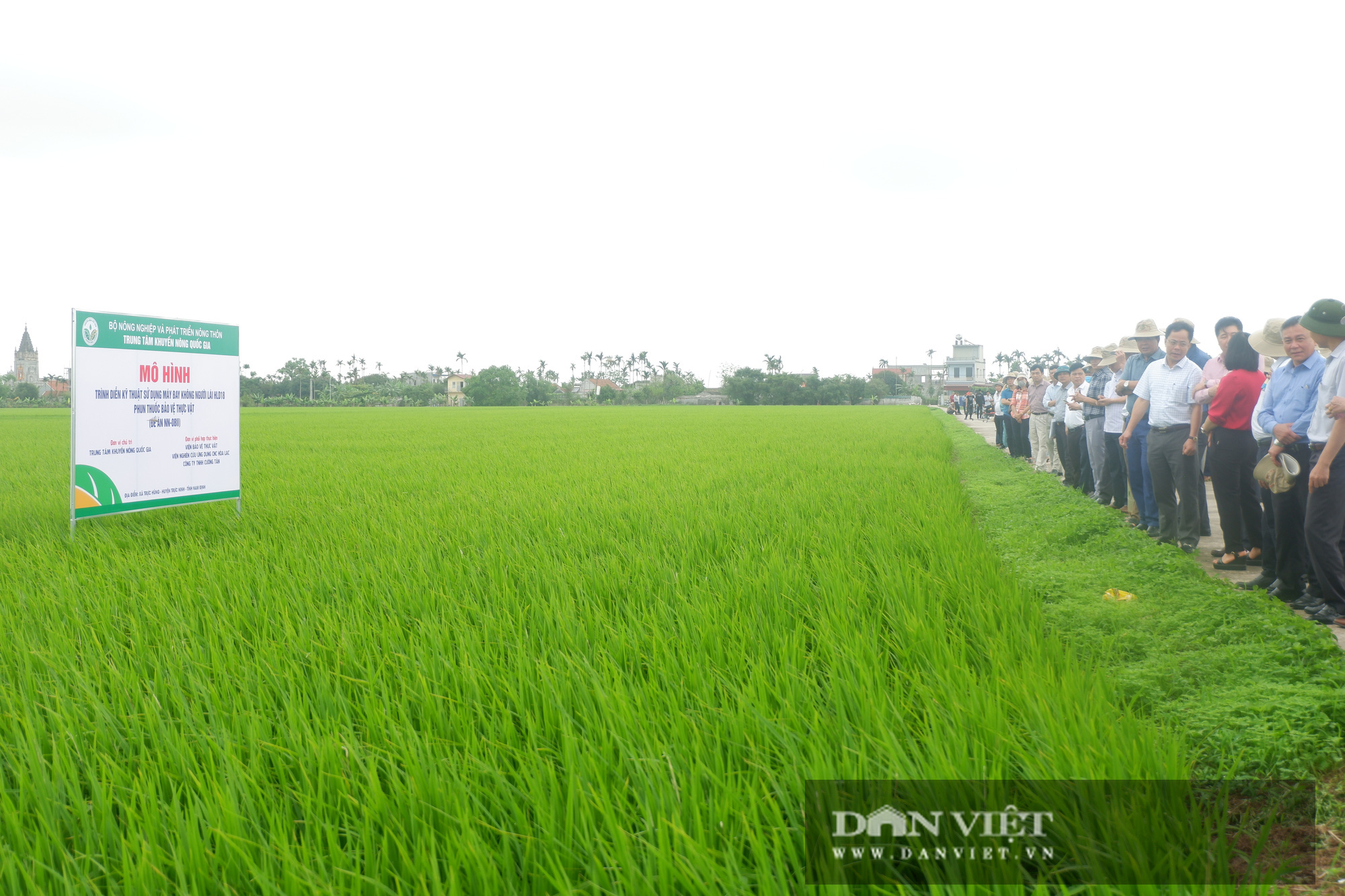 Nông nghiệp công nghệ cao: Máy bay không người lái &quot;ôm&quot; 20ha lúa chỉ trong &quot;nháy mắt&quot;, năng xuất lúa cao, nông dân lại khỏe - Ảnh 7.