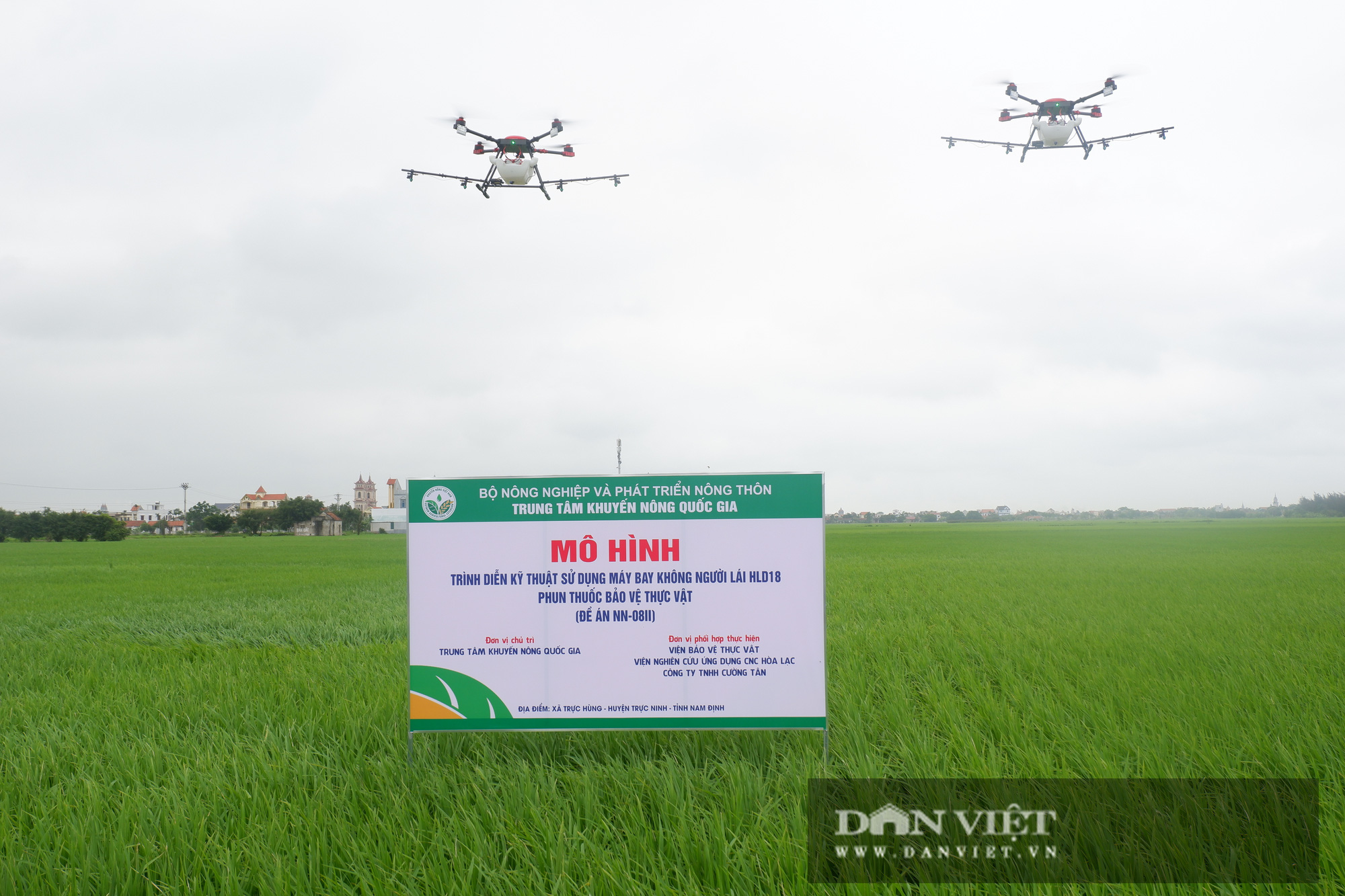 Nông nghiệp công nghệ cao: Máy bay không người lái &quot;ôm&quot; 20ha lúa chỉ trong &quot;nháy mắt&quot;, năng xuất lúa cao, nông dân lại khỏe - Ảnh 6.