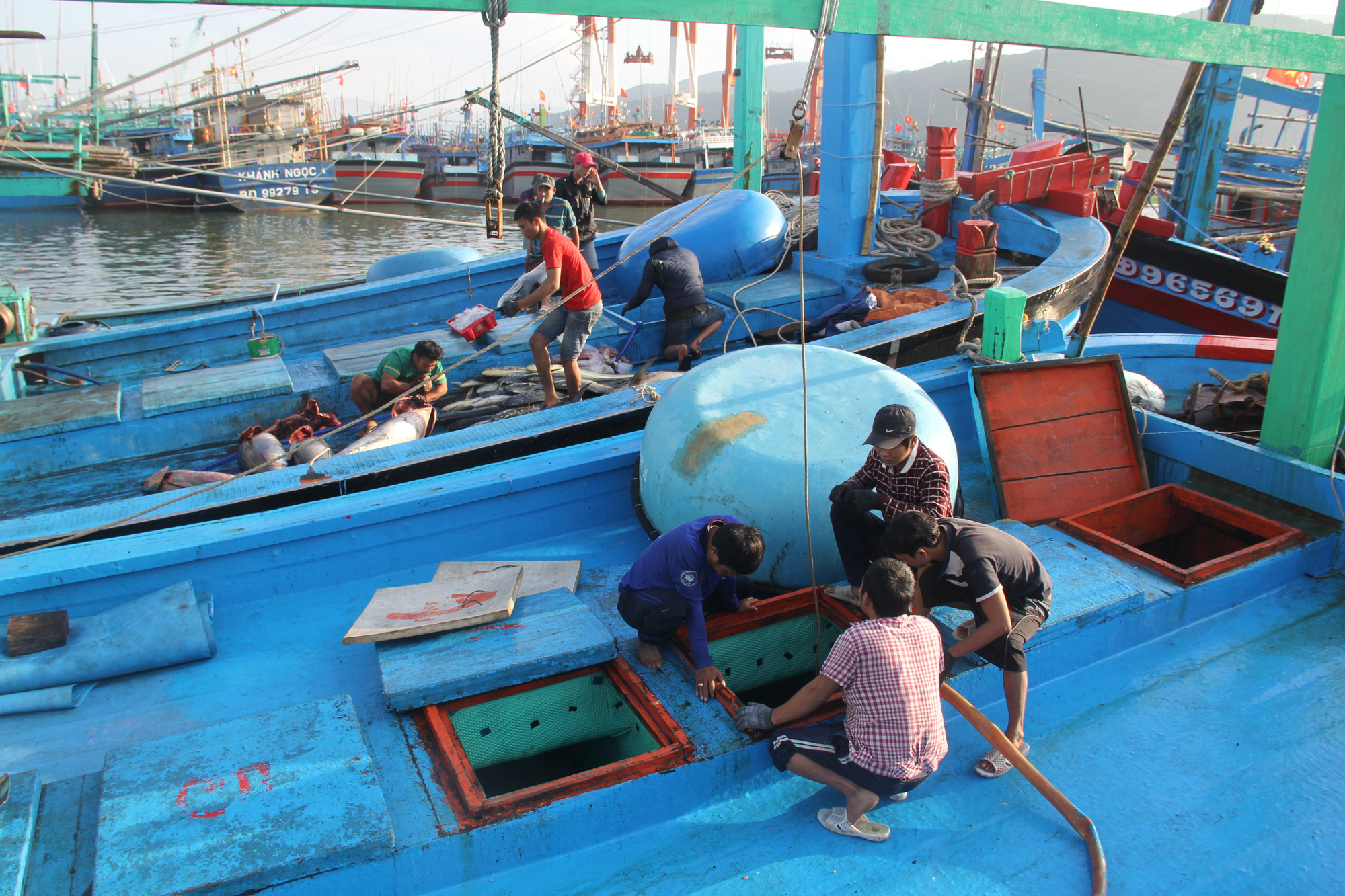 Gỡ “thẻ vàng” IUU: Đừng để quá muộn - Ảnh 3.