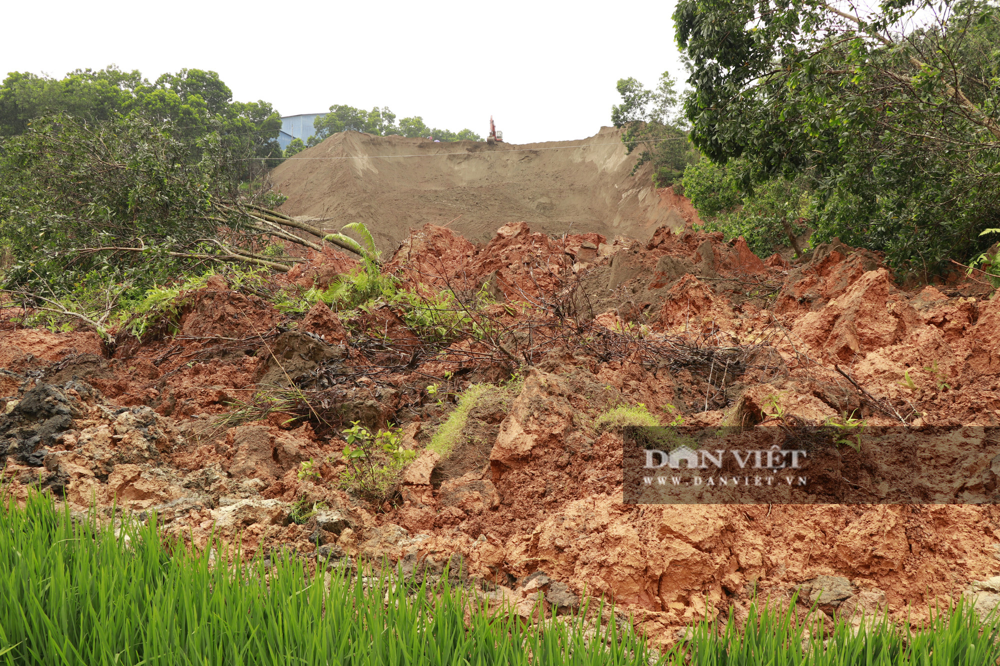 Yên Bái: Sạt đập hồ chứa bùn thải, 3000m3 đất, cát tràn xuống ruộng. - Ảnh 3.