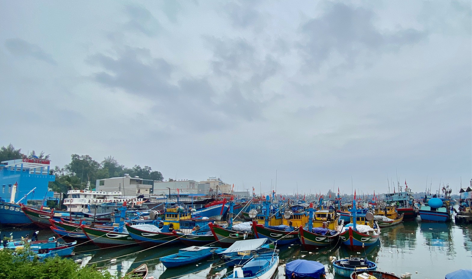 Gỡ “thẻ vàng” IUU: Đừng để quá muộn (bài 3): Quảng Ngãi, cần nâng cấp hệ thống hạ tầng nghề cá  - Ảnh 1.