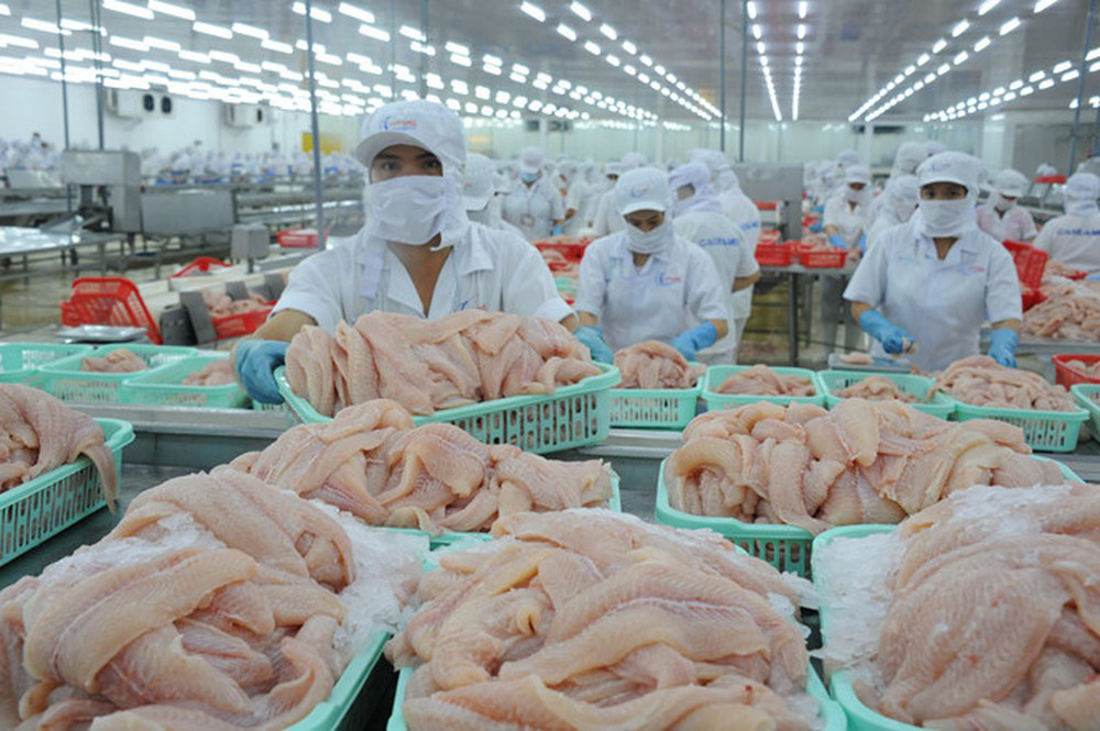 Thị trường cá tra nhiều tín hiệu sáng - Ảnh 1.