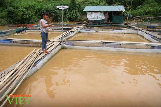 Nuôi cá lồng trên lòng hồ thủy điện, dân nơi này có thu nhập khá - Ảnh 2.