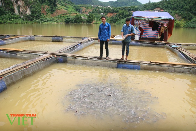 Nuôi cá lồng trên lòng hồ thủy điện, dân nơi này có thu nhập khá - Ảnh 1.