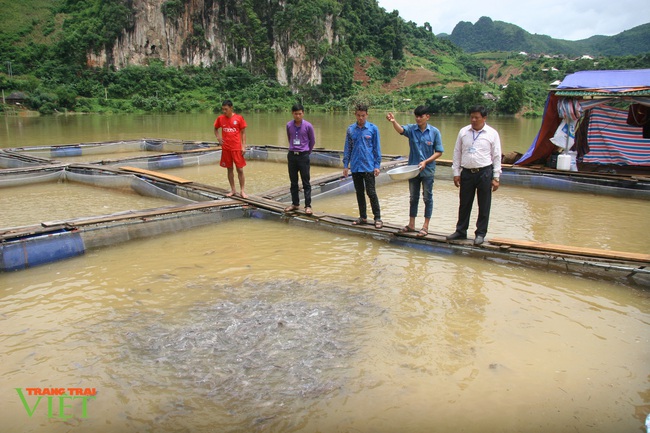 Nuôi cá lồng trên lòng hồ thủy điện, dân nơi này có thu nhập khá - Ảnh 3.