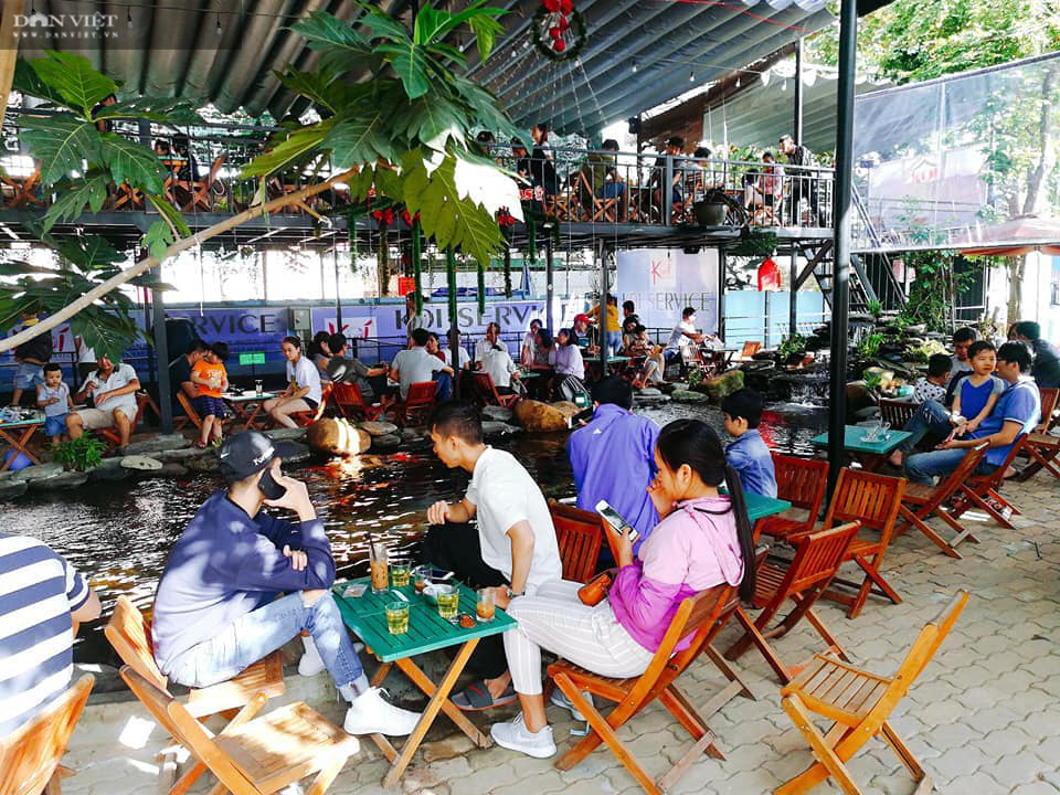 Từ niềm đam mê với loài cá là quốc ngư của Nhật Bản, 8X Đà Nẵng trở thành &quot;ông trùm cá Koi&quot; - Ảnh 5.