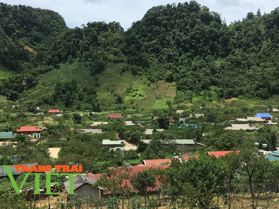 Người dân Vân Hồ: Góp sức cùng chính quyền xây dựng nông thôn mới - Ảnh 5. Người dân Vân Hồ: Góp sức cùng chính quyền xây dựng nông thôn mới - Ảnh 5.