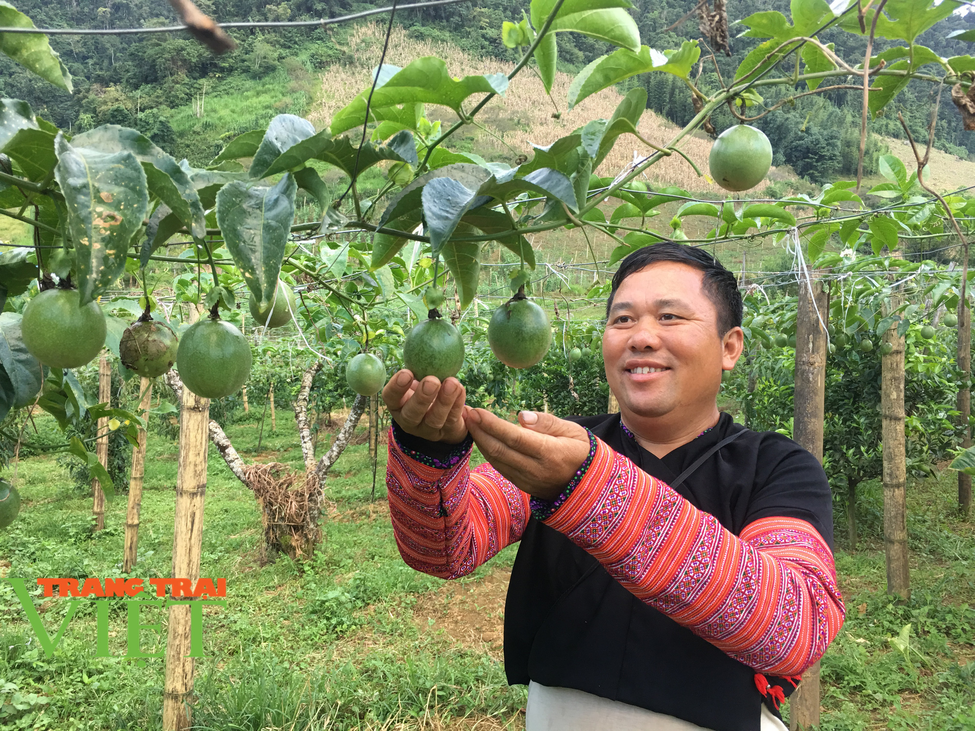 Người dân Vân Hồ: Góp sức cùng chính quyền xây dựng nông thôn mới - Ảnh 7. Người dân Vân Hồ: Góp sức cùng chính quyền xây dựng nông thôn mới - Ảnh 7.
