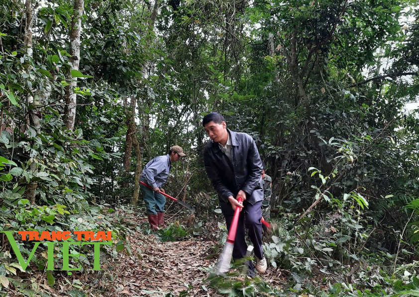 Hạt Kiểm lâm Mộc Châu: Làm tốt công tác bảo vệ và trồng rừng - Ảnh 3. Hạt Kiểm lâm Mộc Châu: Làm tốt công tác bảo vệ và trồng rừng - Ảnh 3.