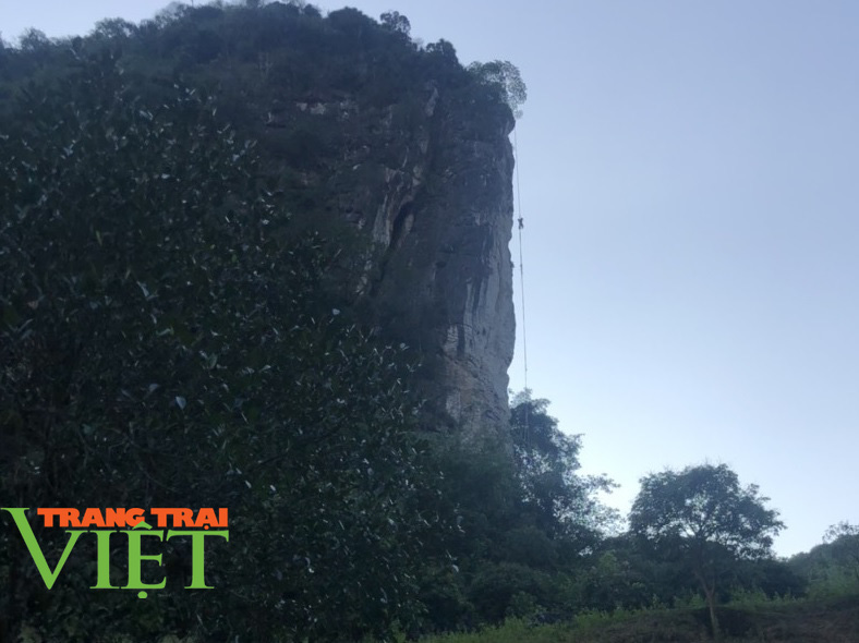 Nóng: Một người đàn ông bị ong đốt tử vong, treo lơ lửng ở trên vách đá - Ảnh 1. Nóng: Một người đàn ông bị ong đốt tử vong, treo lơ lửng ở trên vách đá - Ảnh 1.