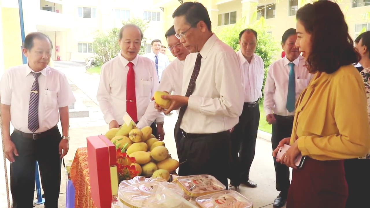 Cây xoài xóa nghèo vùng chiến khu  - Ảnh 1.