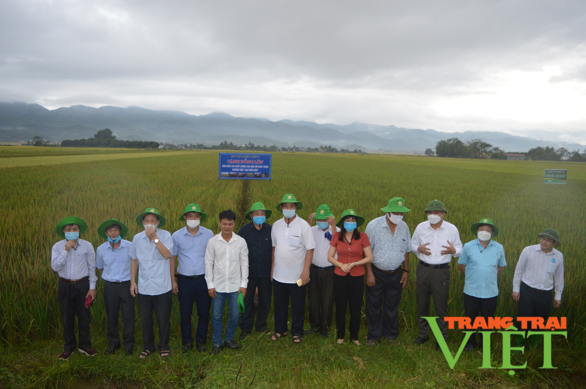 Điện Biên: Hội thảo thúc đẩy phát triển sản xuất - tiêu thụ gạo chất lượng cao - Ảnh 1. Điện Biên: Hội thảo thúc đẩy phát triển sản xuất - tiêu thụ gạo chất lượng cao - Ảnh 1.