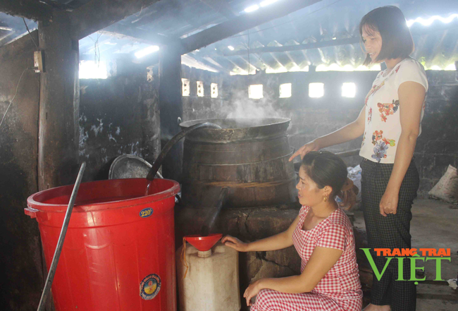 Lai Châu: Nông dân phường Quyết Thắng thi đua sản xuất kinh doanh giỏi - Ảnh 3.