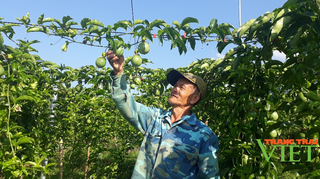 Hội Nông dân Lai Châu: Nâng cao hiệu quả các hoạt động tư vấn, hỗ trợ, dạy nghề cho nông dân - Ảnh 1.