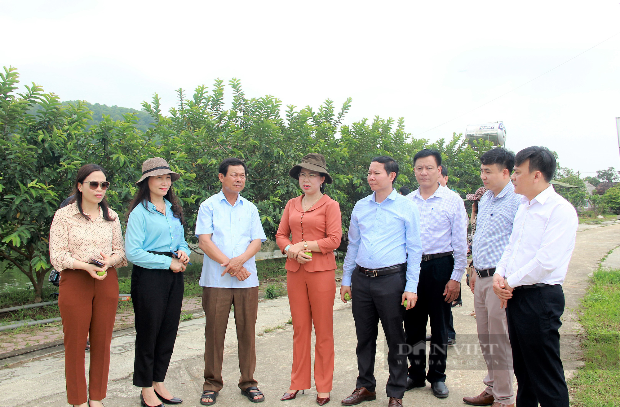 Hà Tĩnh: Nhiều việc làm thiết thực kỷ niệm 91 năm ngày thành lập Hội Nông dân Việt Nam - Ảnh 4.