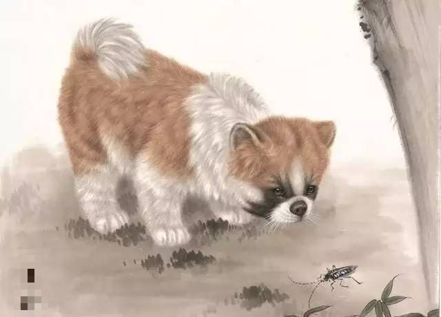 6 con giáp càng có tuổi càng giàu có, cuộc sống sung túc, bình an - Ảnh 3.
