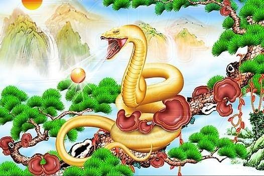 6 con giáp càng có tuổi càng giàu có, cuộc sống sung túc, bình an - Ảnh 6.