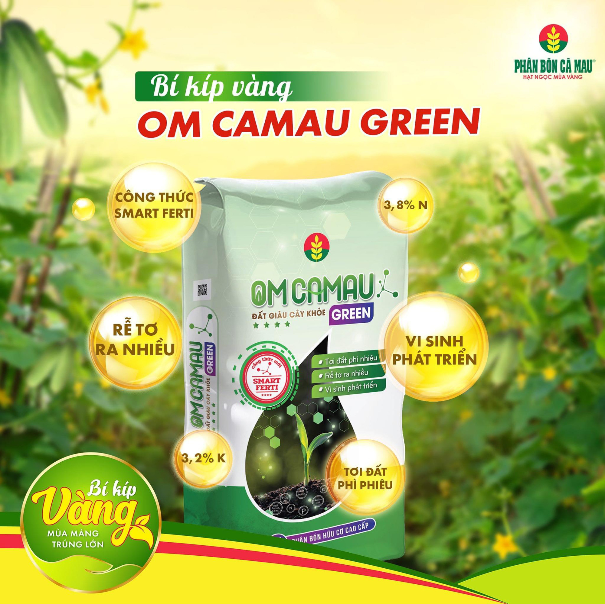 PHÂN BÓN CÀ MAU HỖ TRỢ BÀ CON SỬ DỤNG OM CÀ MAU - Ảnh 2.