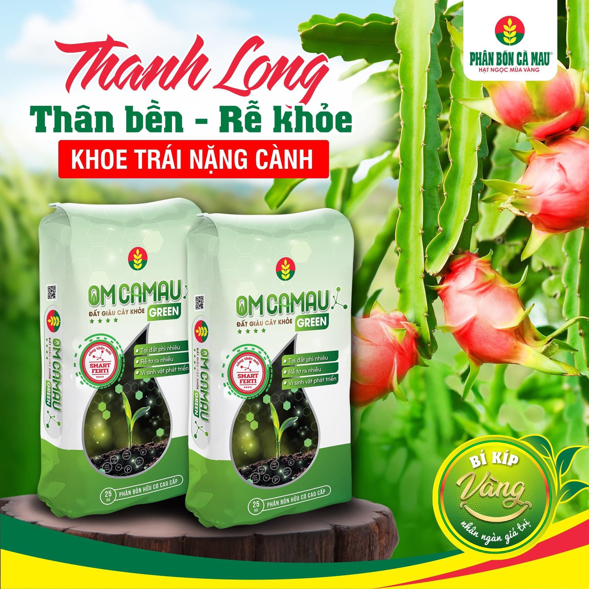 PHÂN BÓN CÀ MAU HỖ TRỢ BÀ CON SỬ DỤNG OM CÀ MAU - Ảnh 4.