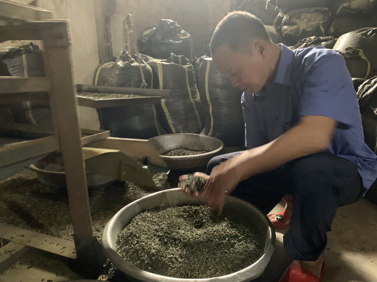 Tỷ phú nông dân Việt Nam xuất sắc 2021 Phan Đình Đường: Hành trình đưa cây chè phủ xanh vùng đất chết   - Ảnh 6.