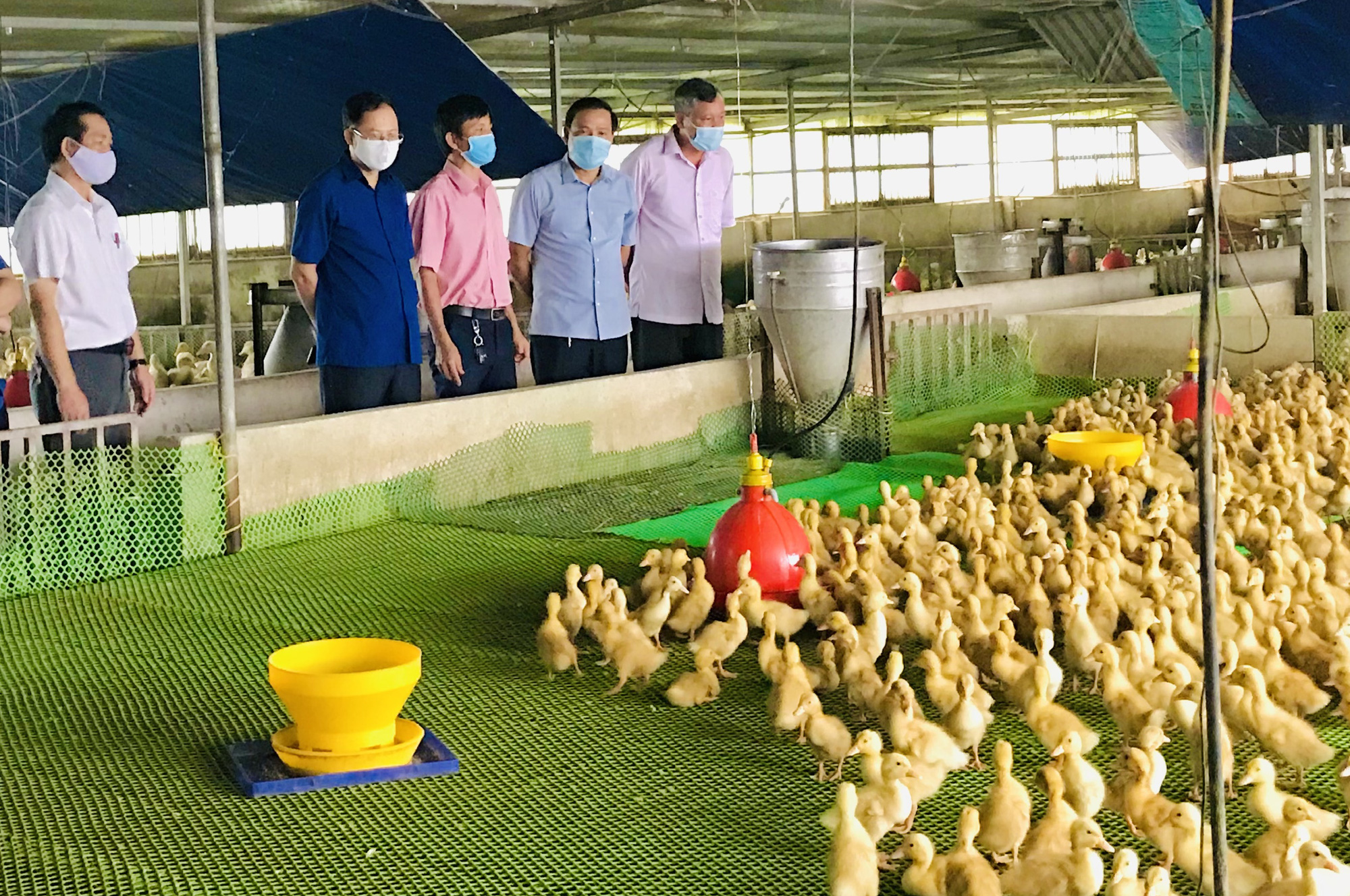 Thi đua làm giàu trên đồng đất quê hương - Ảnh 1.