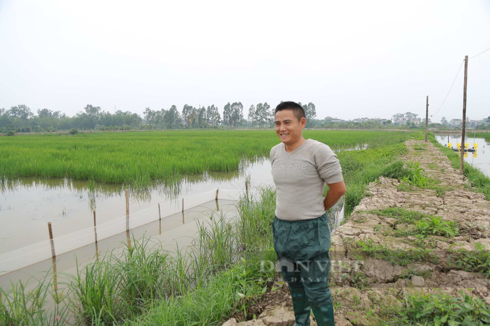 Hà Nam: Đặt mục tiêu khó để phấn đấu trong xây dựng nông thôn mới kiểu mẫu - Ảnh 3.