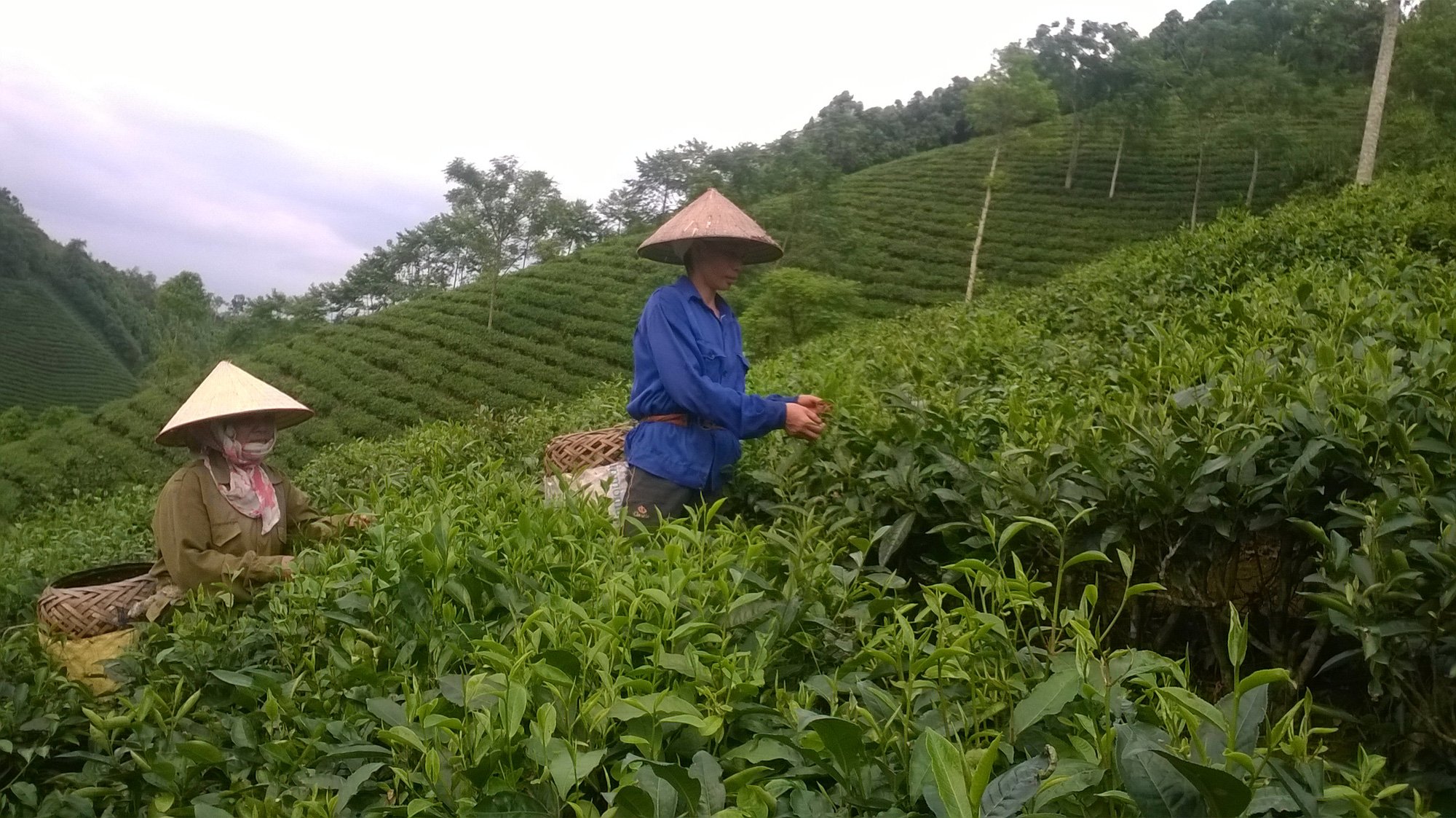 Ba Vì có thêm 2 xã cán đích nông thôn mới - Ảnh 1.