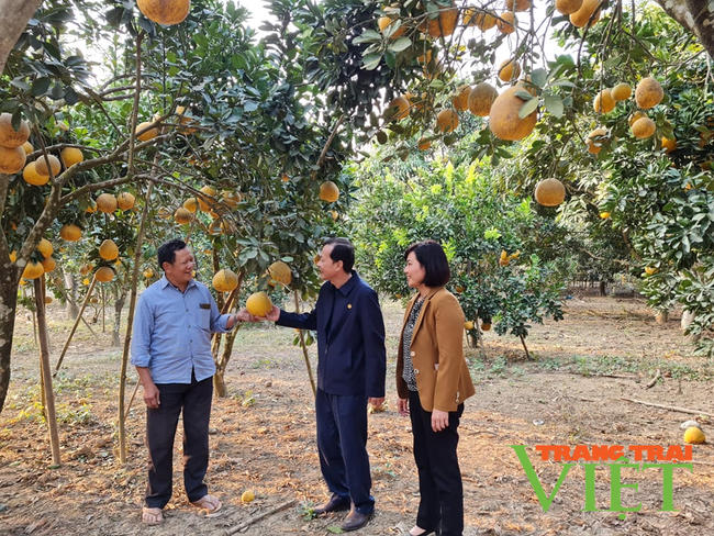 Nông thôn Tây Bắc: Hội Nông dân tỉnh Điện Biên đồng hành cùng nông dân phát triển sản xuất   - Ảnh 1.