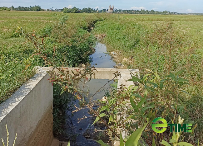 Quảng Ngãi: Báo cáo Tổng cục Thuỷ lợi thông tin nghi vấn dự án kênh tác dụng ngược  - Ảnh 3.