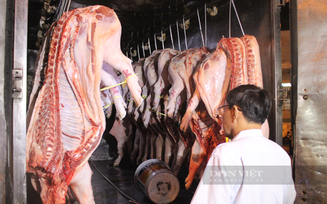 Thịt heo nhập về chợ đầu mối Hóc Môn, TP.HCM. Ảnh: Nguyên Vỹ