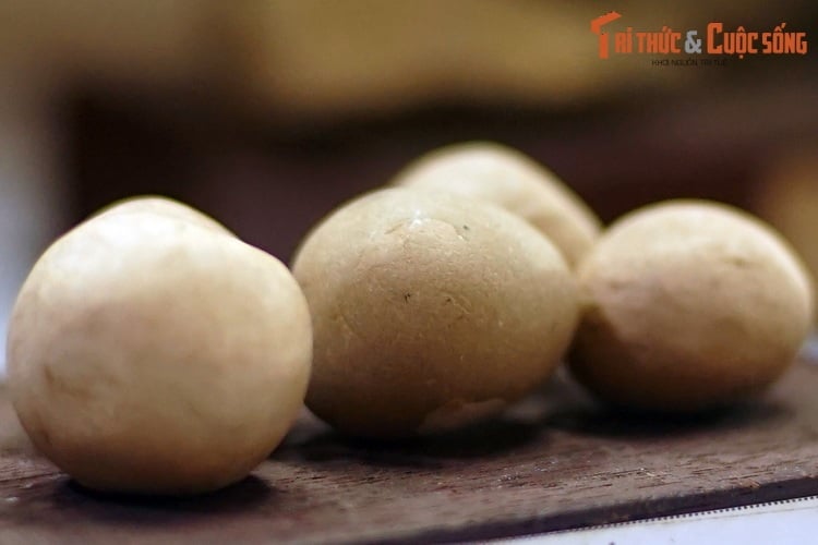 Những mẫu vật kỳ lạ trong bảo tàng ít người biết ở Sài Gòn - Ảnh 1.