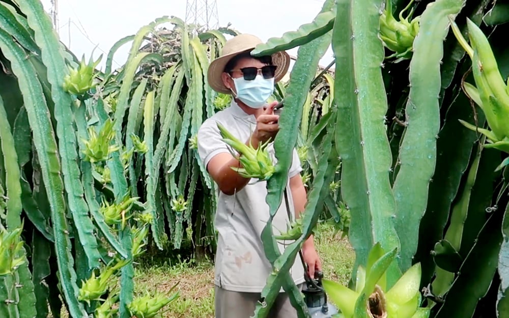 Nhà nông “liêu xiêu” với giá vật tư - Ảnh 1. Nhà nông “liêu xiêu” với giá vật tư - Ảnh 1.