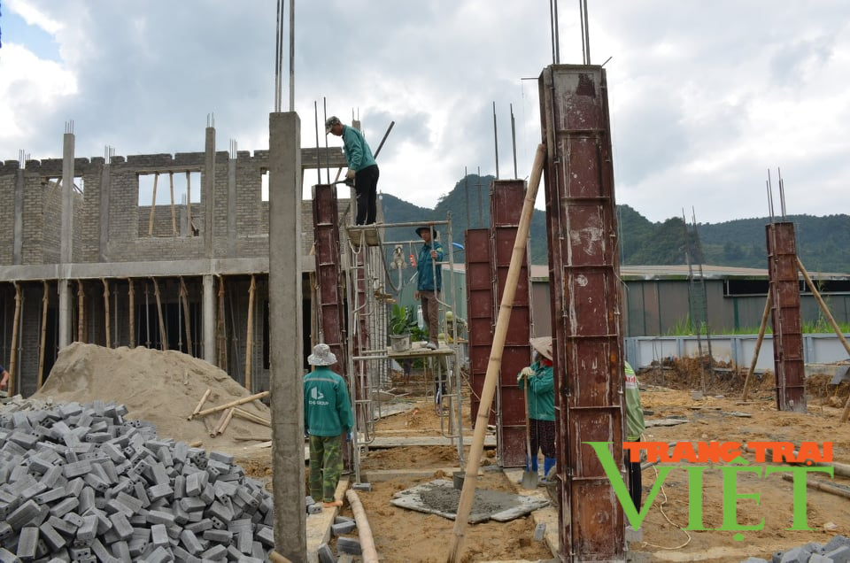 Tủa Chùa: Đẩy nhanh giải ngân vốn đầu tư công - Ảnh 3. Tủa Chùa: Đẩy nhanh giải ngân vốn đầu tư công - Ảnh 3.