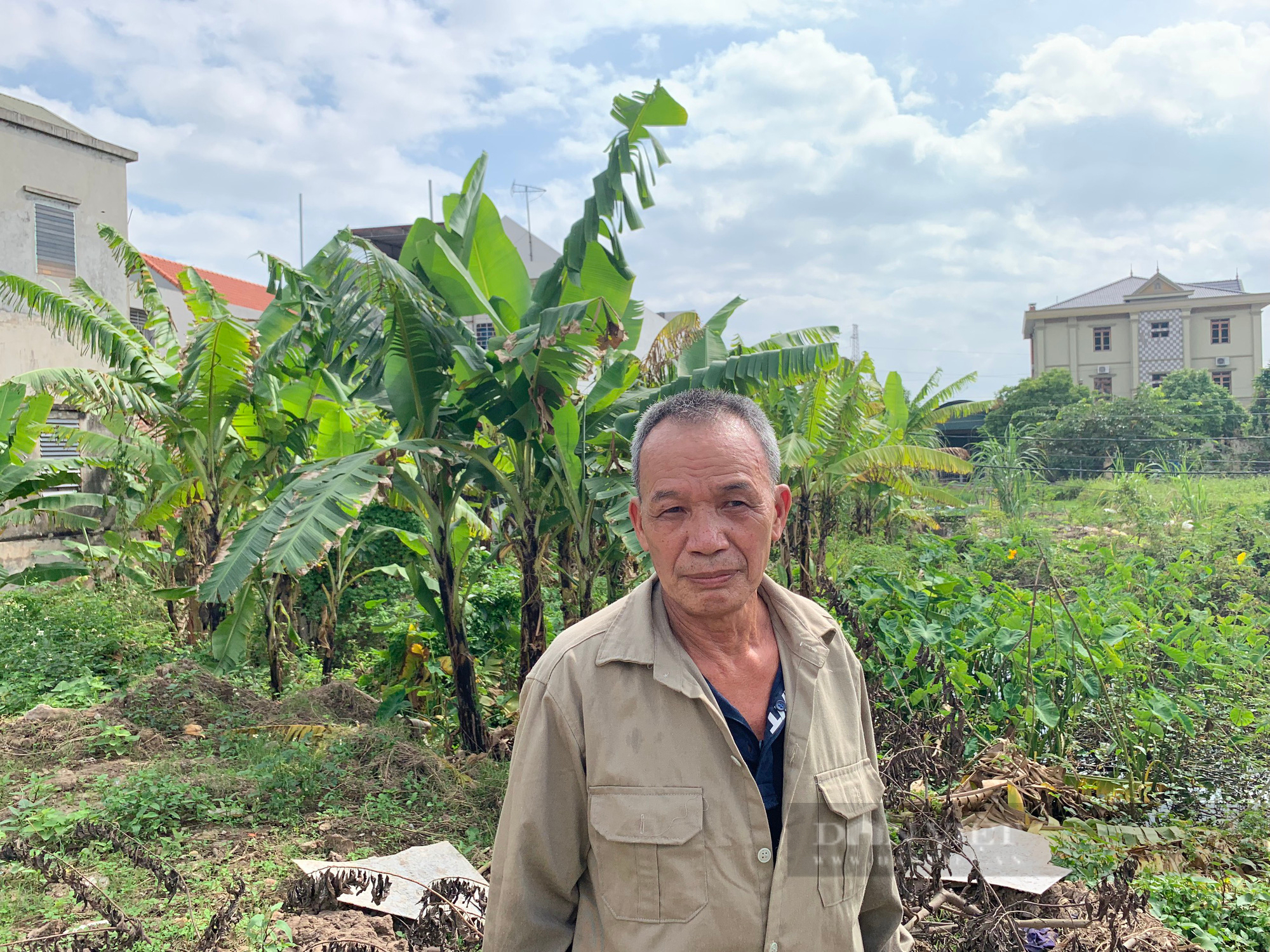 Chủ tịch Hải Dương yêu cầu khẩn trương giải quyết vụ đổi đất với xã, người dân gặp hạn  - Ảnh 1.