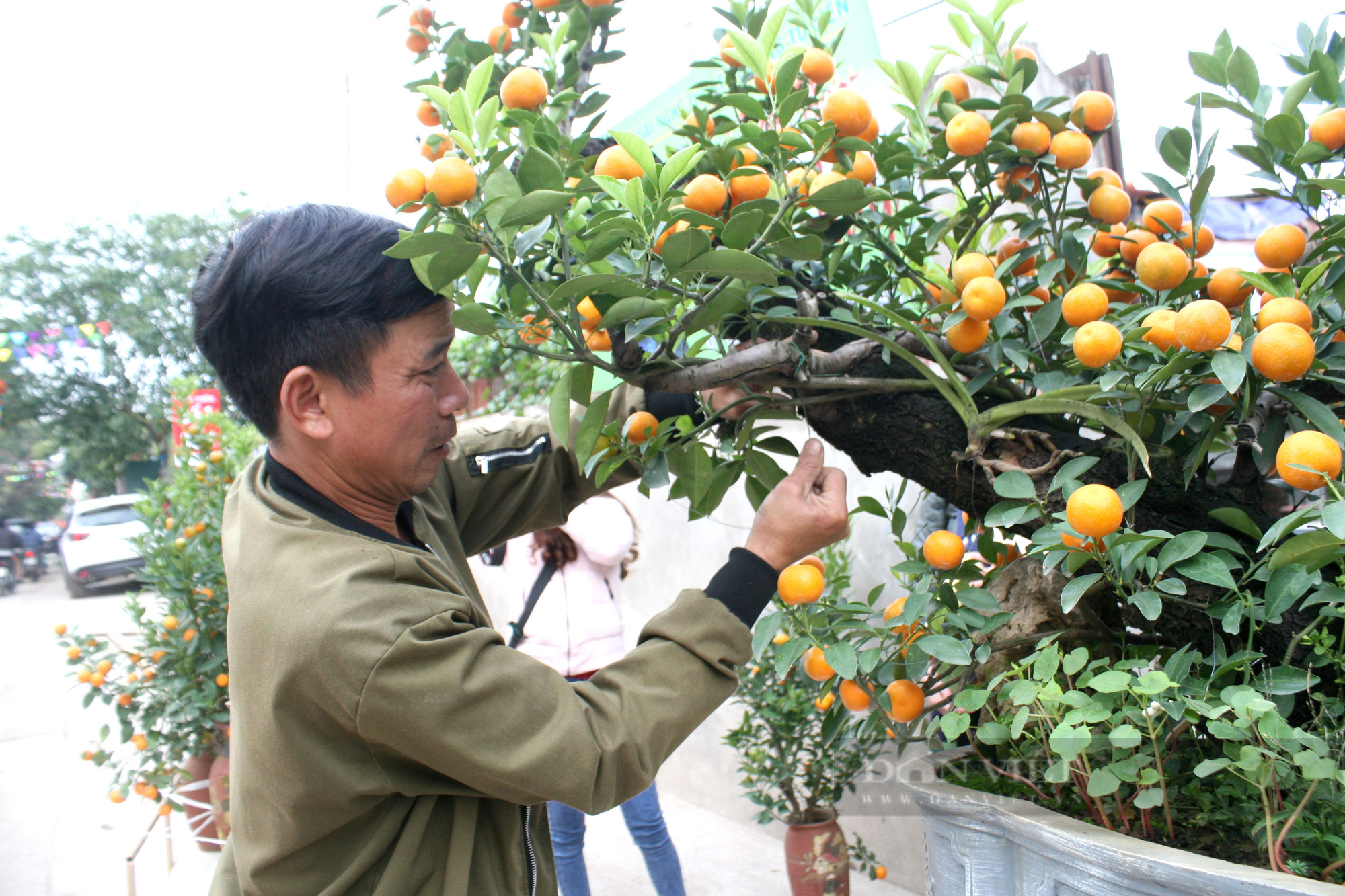 Không để khan hàng, giá tăng đột biến dịp Tết Nhâm Dần 2022 - Ảnh 1.